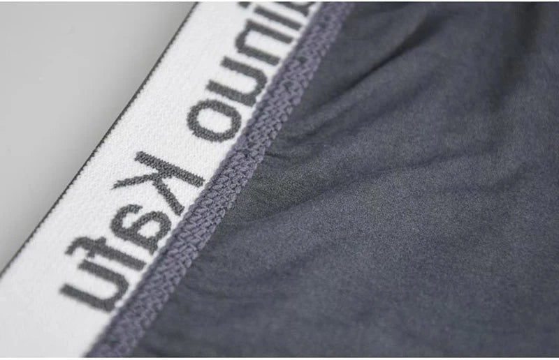 10Pcs/Lot  Fashion Men's Panties Underwear Men  Size Briefsr Bikini Pant Men Comfortable Sexy Slip Underpants Hot L-5XL