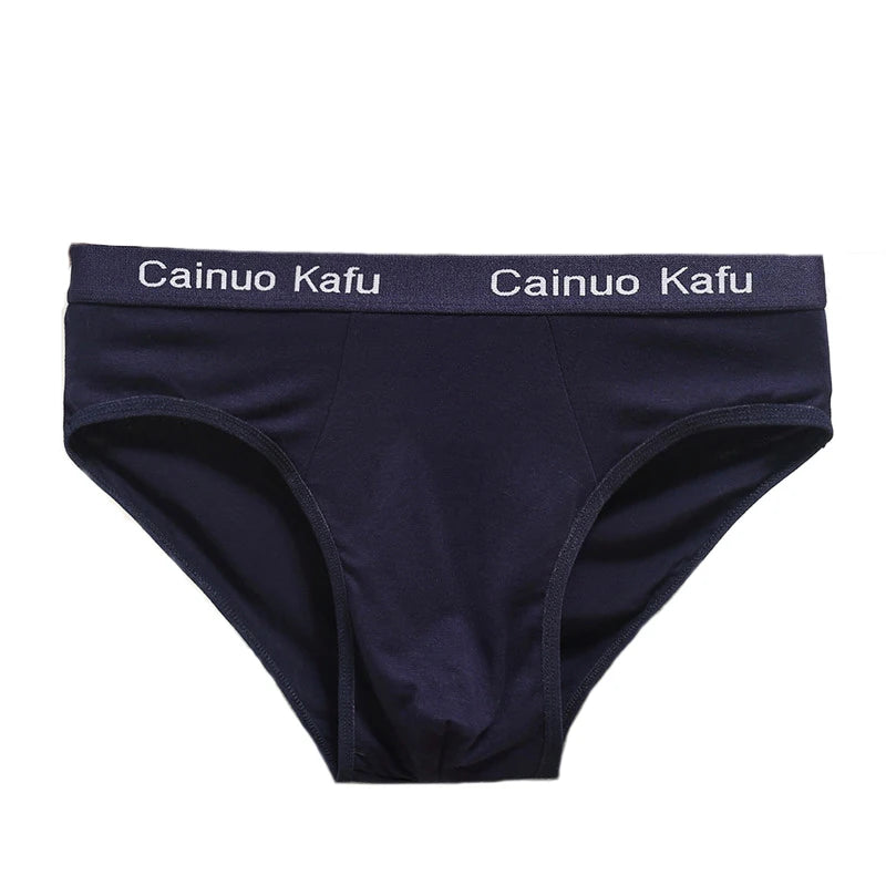 10Pcs/Lot  Fashion Men's Panties Underwear Men  Size Briefsr Bikini Pant Men Comfortable Sexy Slip Underpants Hot L-5XL