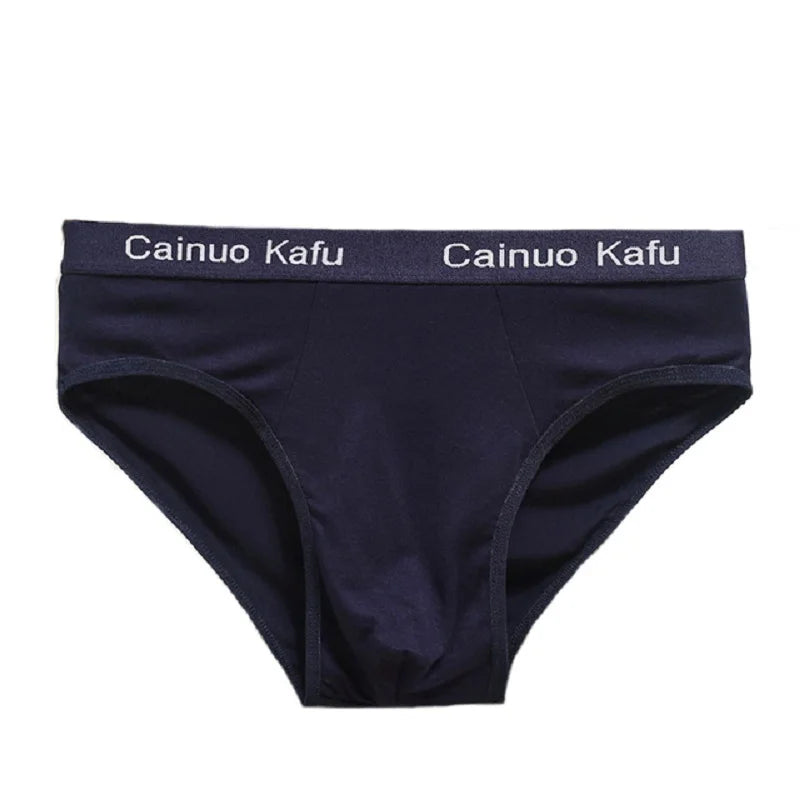 10Pcs/Lot  Fashion Men's Panties Underwear Men  Size Briefsr Bikini Pant Men Comfortable Sexy Slip Underpants Hot L-5XL