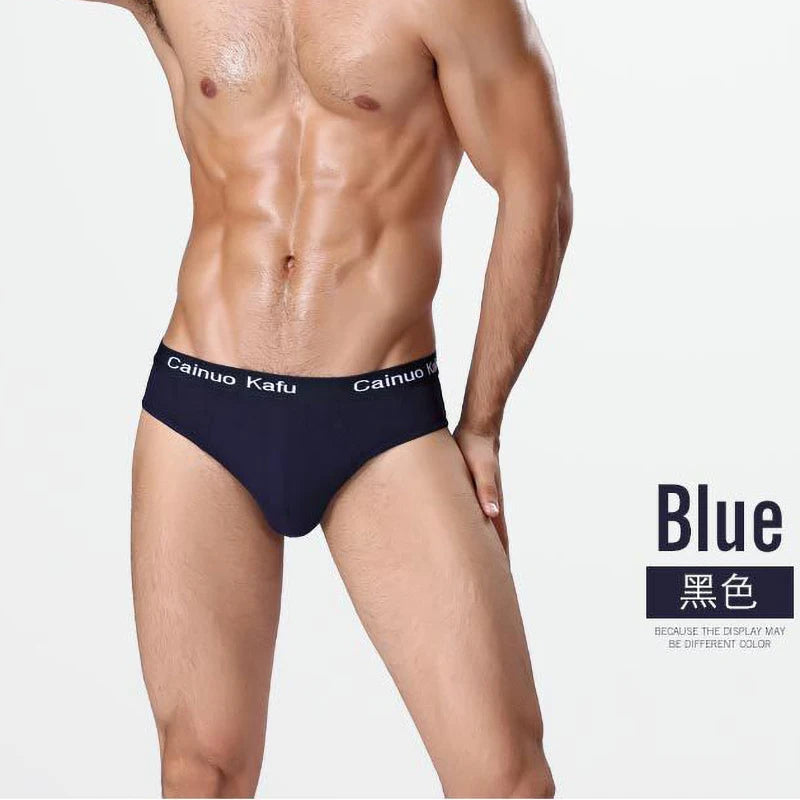 10Pcs/Lot  Fashion Men's Panties Underwear Men  Size Briefsr Bikini Pant Men Comfortable Sexy Slip Underpants Hot L-5XL