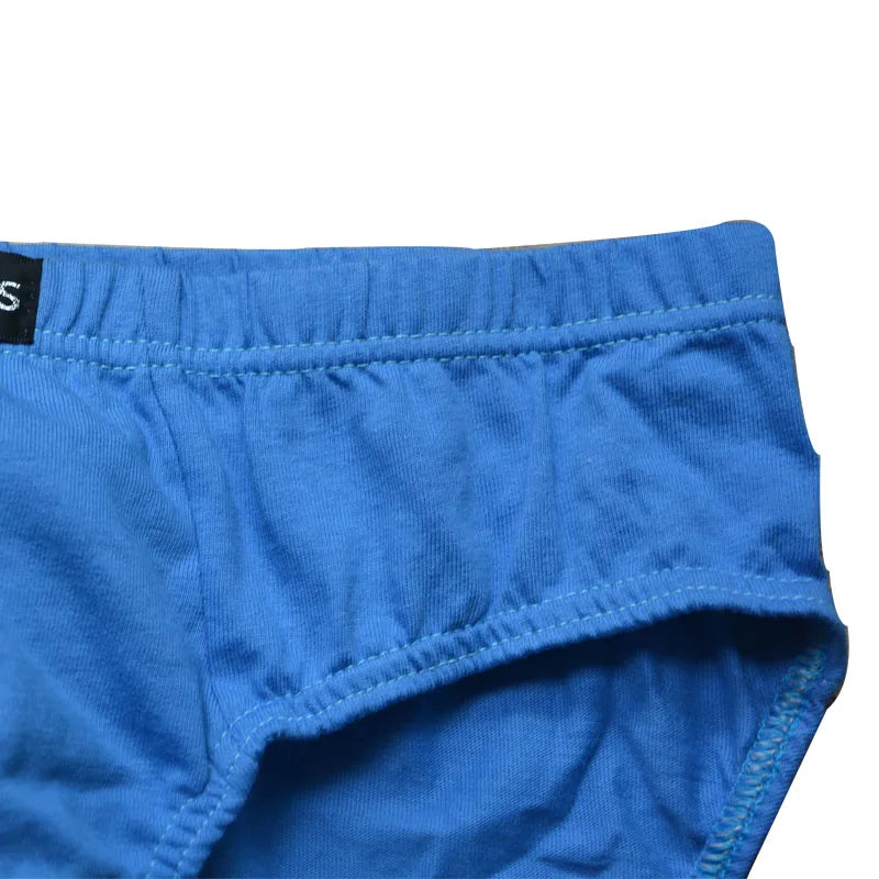 4Pcs/lot cheapest 100% Cotton Mens Briefs  Plus Size Men Underwear Panties 4XL/5XL/6XL Men's Breathable Panties