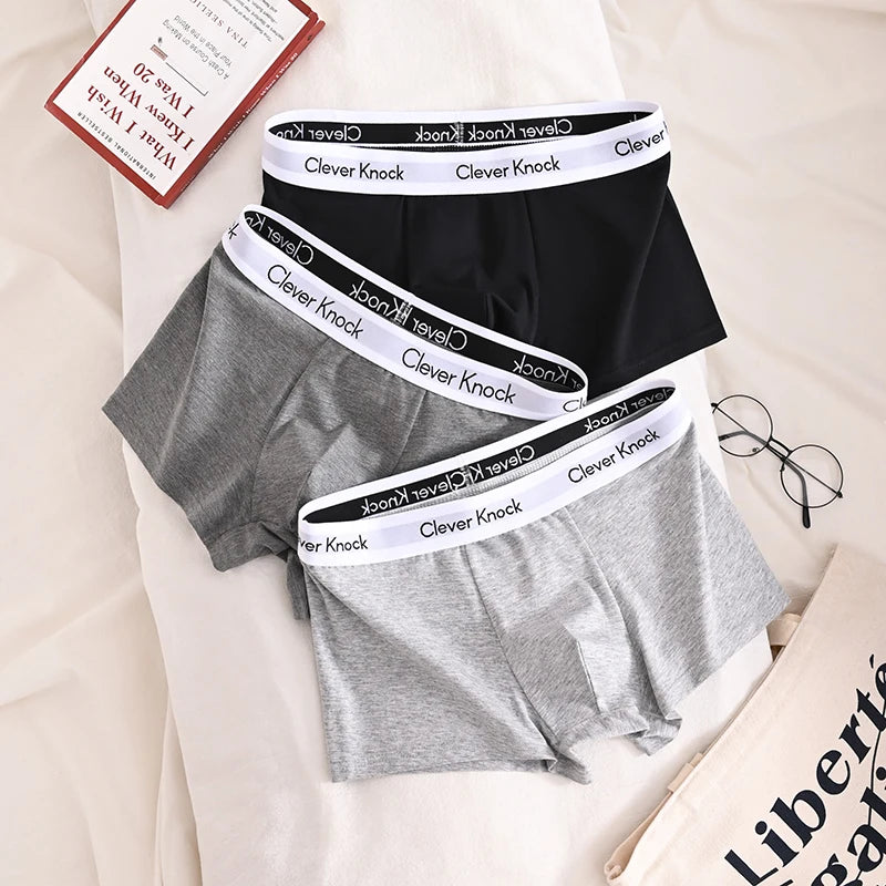 4Pcs Boxer Shorts Men's Underwear Sexy Panties Cotton Boxers Man Underpants Male Shorts Homme U Convex Lingerie Wholesale Lots