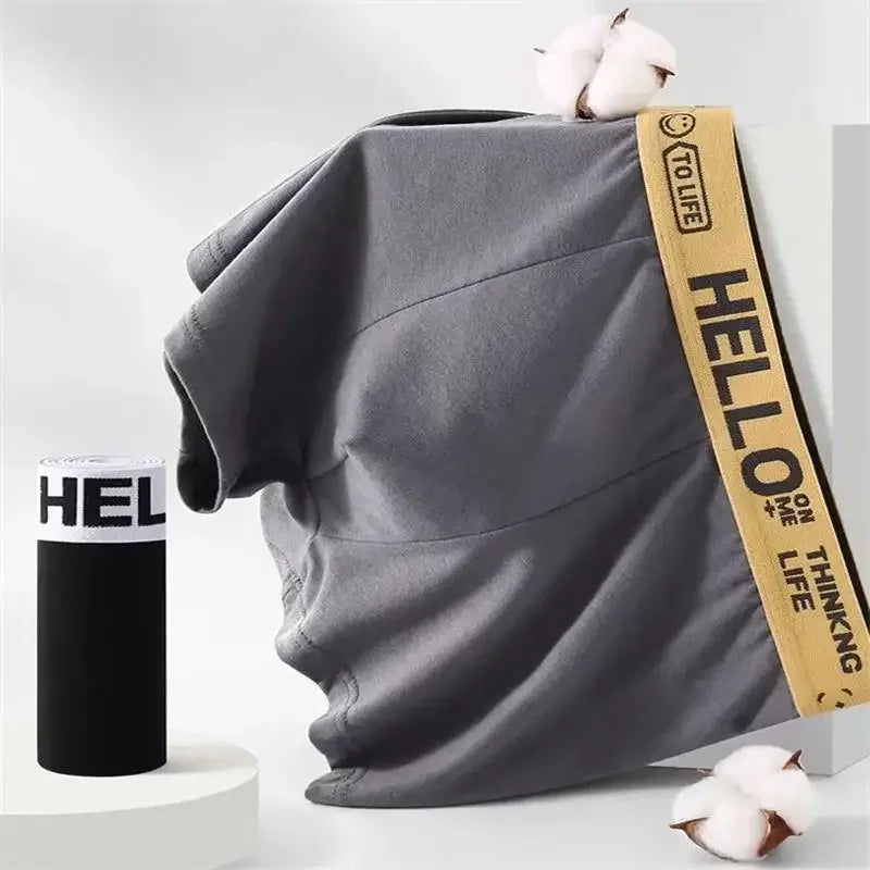 5-10Pieces/ Men's Underwear Men Pure Cotton Underpants Men Brand Panties Shorts Breathable Shorts Comfortable Soft Plus Size